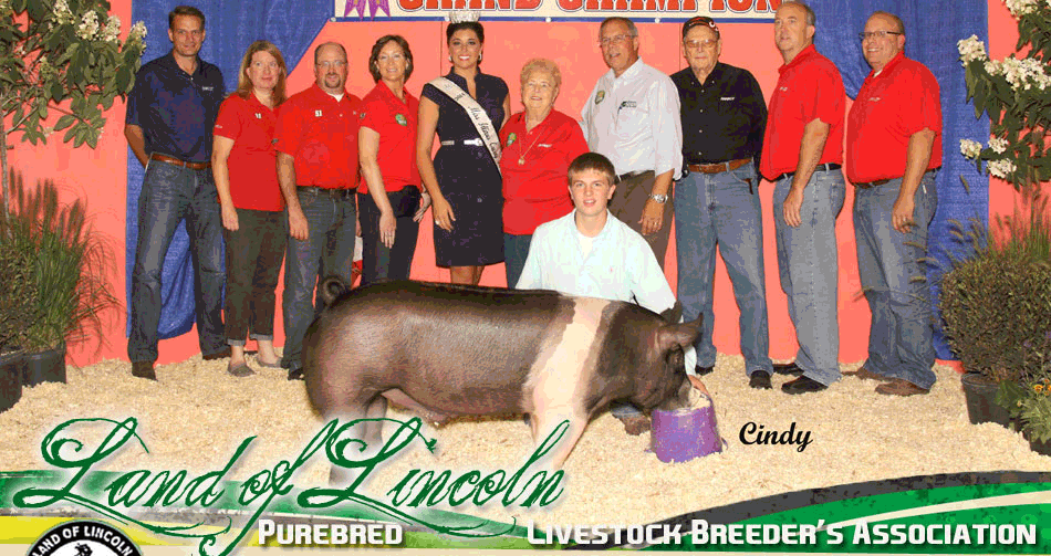 Land of Lincoln Purebred Livestock Breeder's Association